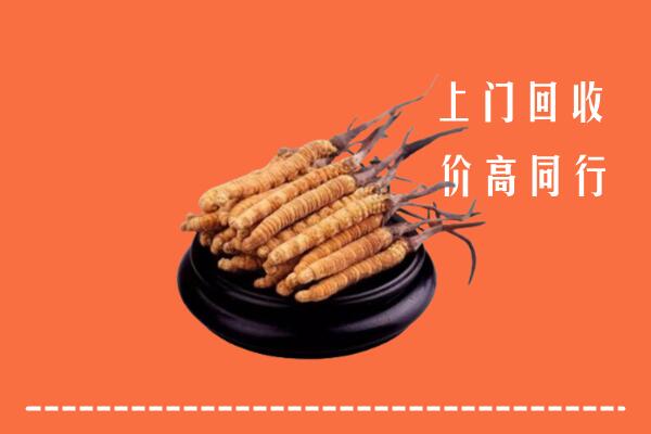 阿勒泰市回收冬虫夏草