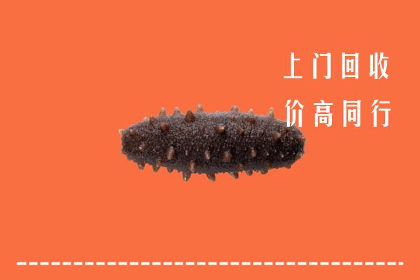 阿勒泰市回收海参