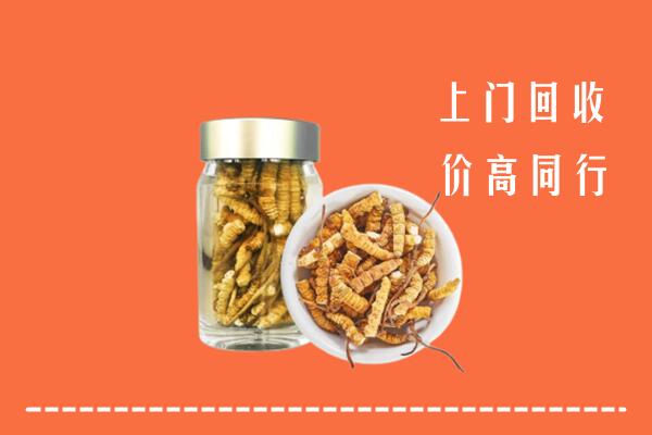 阿勒泰市回收冬虫夏草